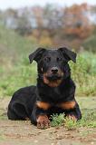 BEAUCERON 360